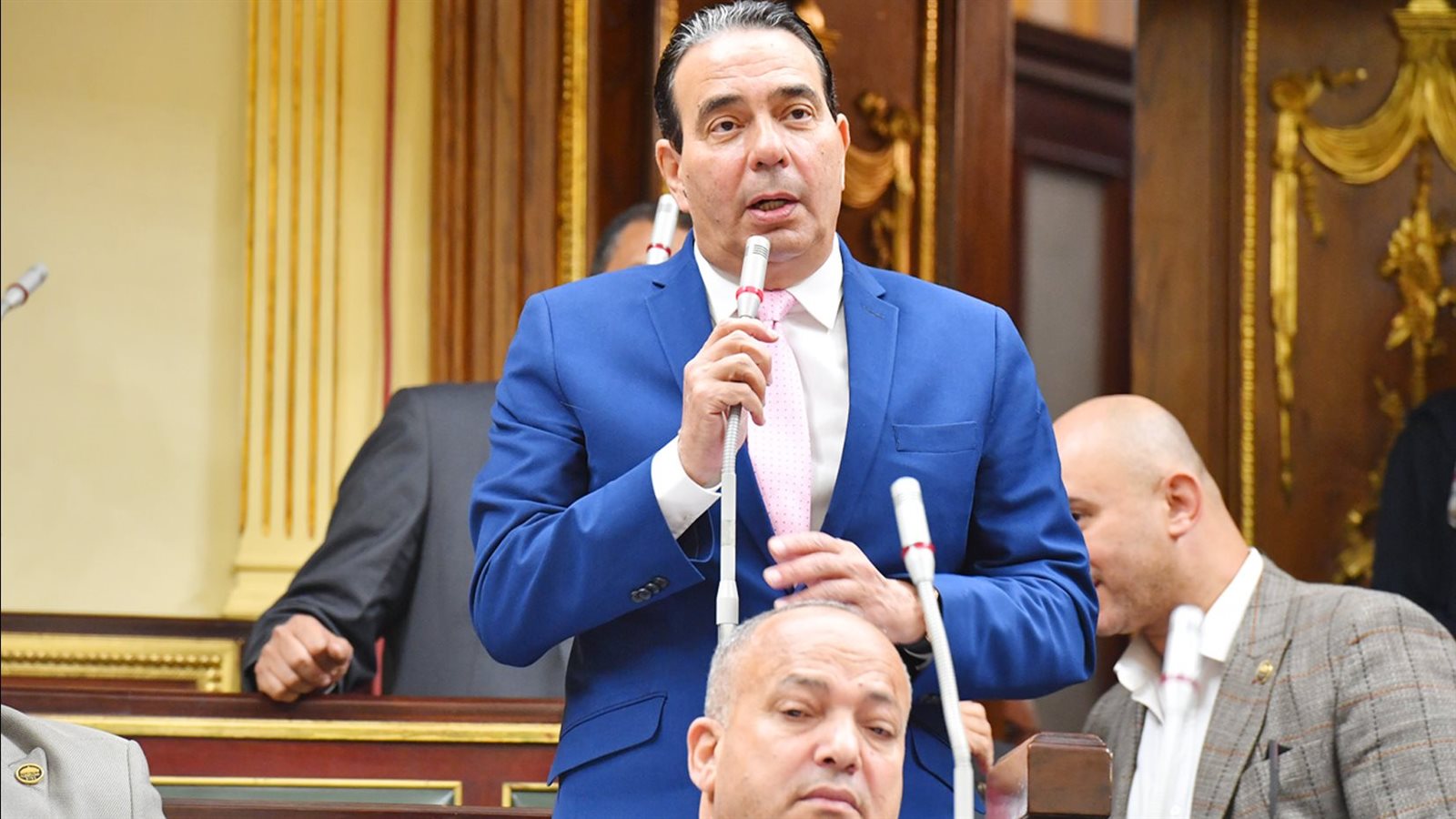 النائب أيمن أبو العلا