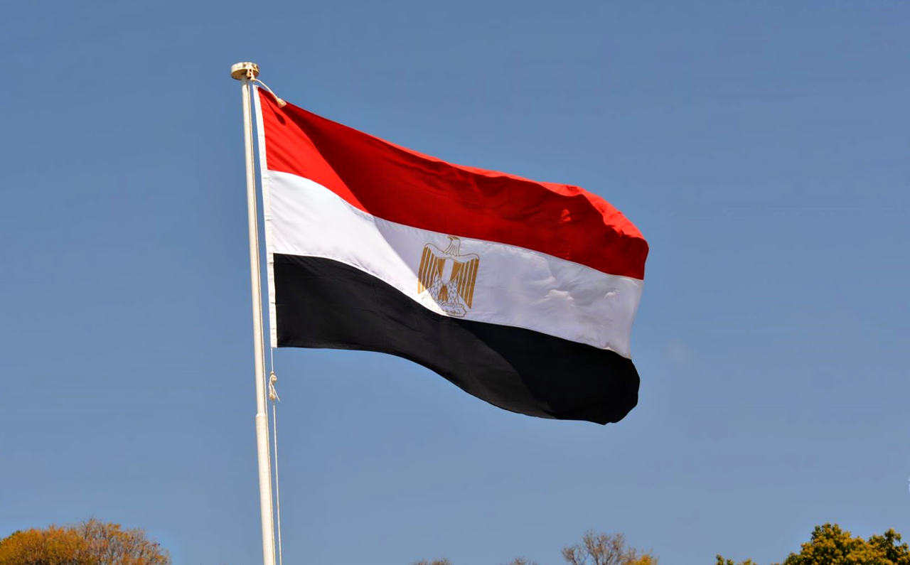 الدولة المصرية