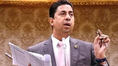 النائب أشرف أبو العلا