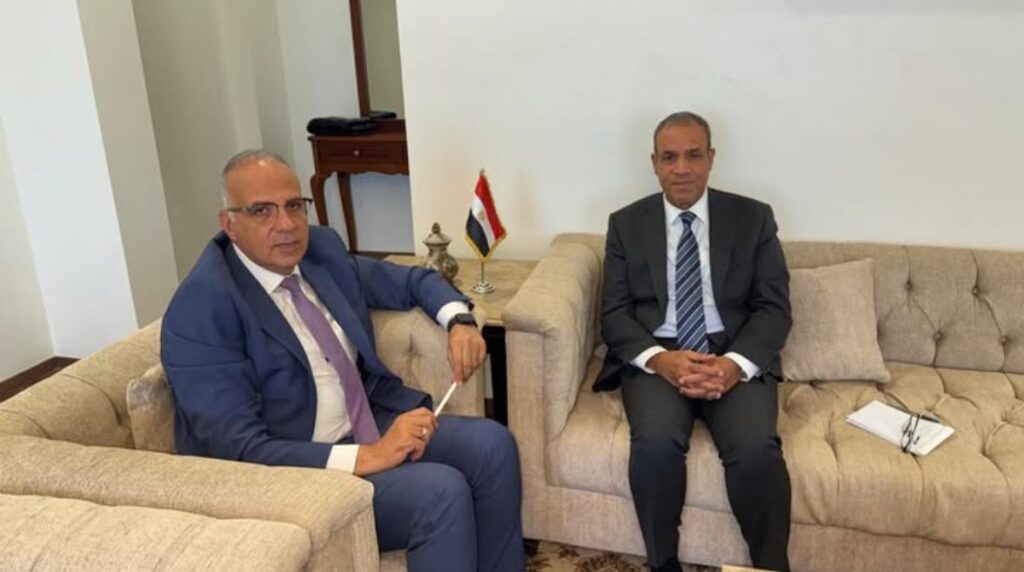 وزير الخارجية والهجرة، الدكتور بدر عبدالعاطي ووزير الموارد المائية والري