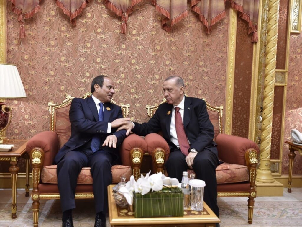الرئيس عبد الفتاح السيسي والرئيس التركي رجب طيب أردوغان