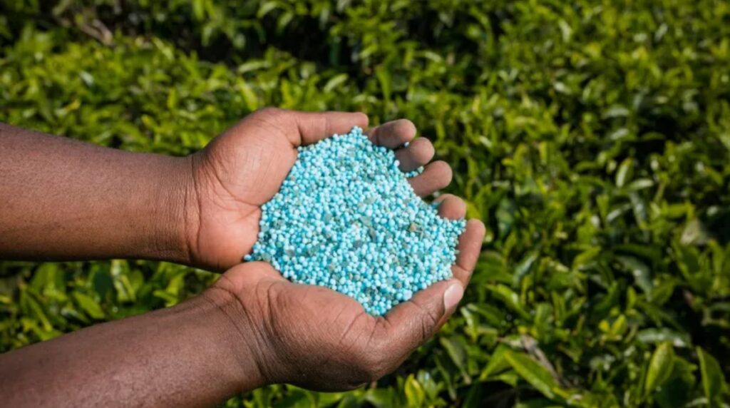 وزارة الزراعة تستكمل صرف الحصص السمادية الشتوية للمزارعين عبر “كارت الفلاح” صرف الأسمدة الشتوية