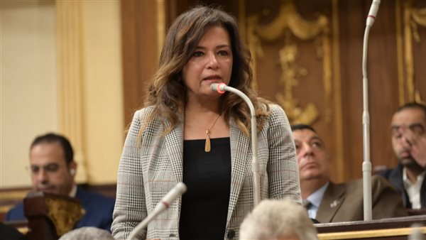 سحر طلعت مصطفى.. 10 سنوات من الدفاع المستمر عن حقوق المرأة في البرلمان سحر طلعت مصطفى