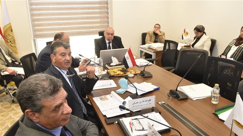 بموافقة البرلمان.. قروض ميسرة من الصين لتمويل المرحلة الثالثة للقطار الكهربائي الخفيف