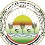 “الزراعة” توقف موظفة بالغربية عن العمل وتحيلها للنيابة إثر اعتدائها على زميلها