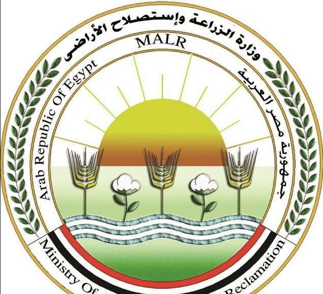 “الزراعة” توقف موظفة بالغربية عن العمل وتحيلها للنيابة إثر اعتدائها على زميلها